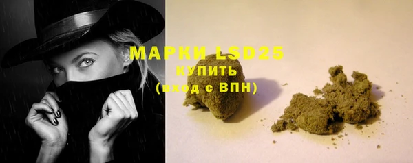 мдпв Кодинск