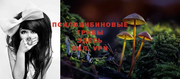 альфа пвп Киреевск